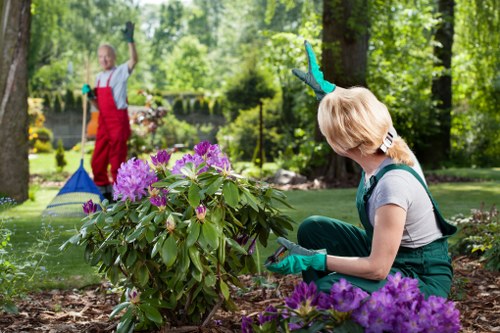 Gardener inspecting a front garden