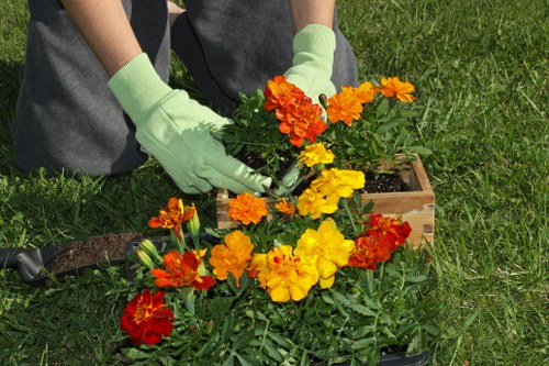 Hedge trimming team working safely with protective equipment in an urban garden