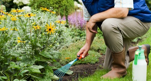 Gardener pruning shrubs with safety gloves and equipment